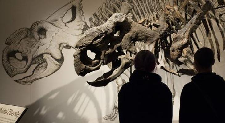 Visitors view a skeleton