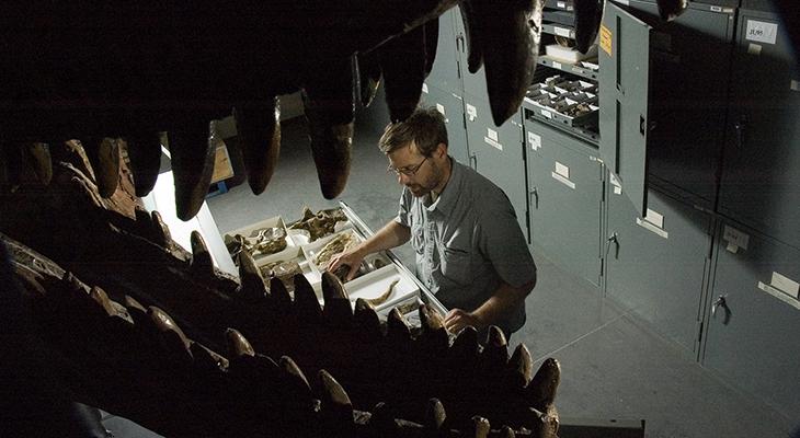 Jim Gardner looks at fossils on a cart. 