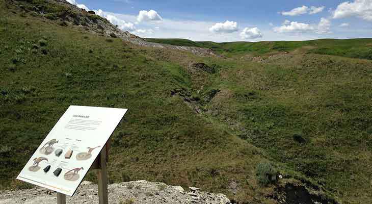 An interpretive sign in front of a grassy hill.