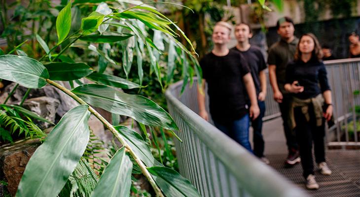 Museum visitors look at plants in the Cretaceous Garden. 