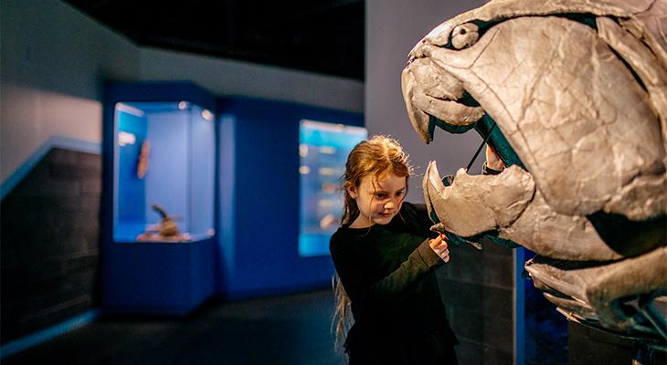 A child examines a cast of the large armoured fish Dunkleosteus.