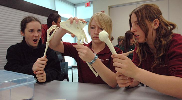 Three children examine casts of bones. 