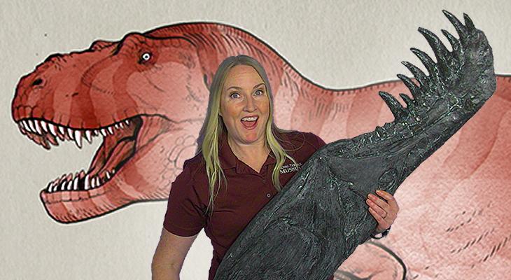 educator holding dinosaur jaw